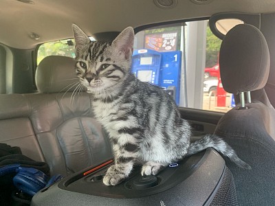 Valhalla’s ride home